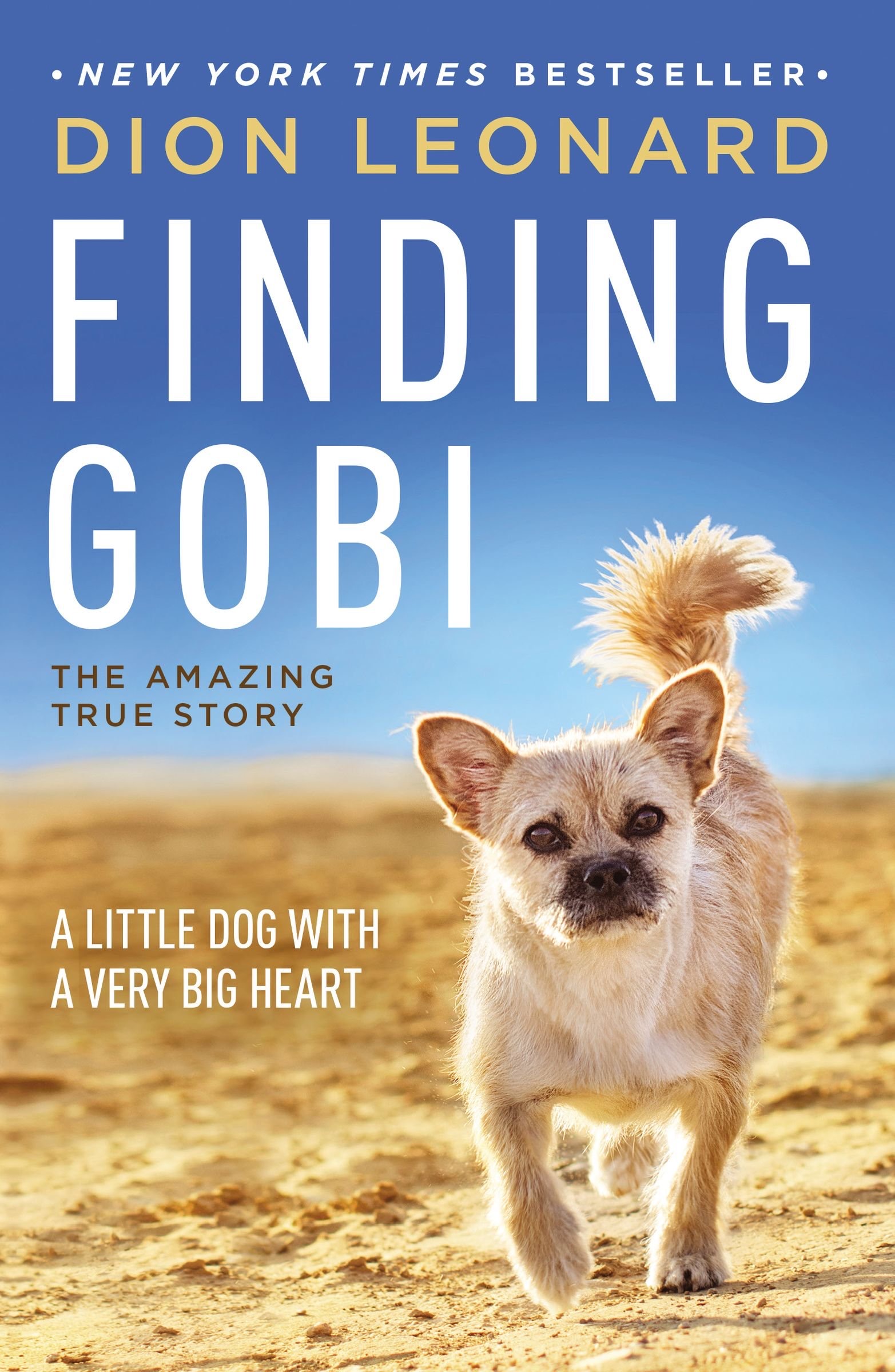 Finding Gobi Cover