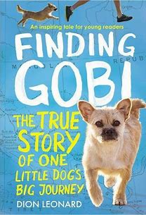 Young Adult Finding Gobi