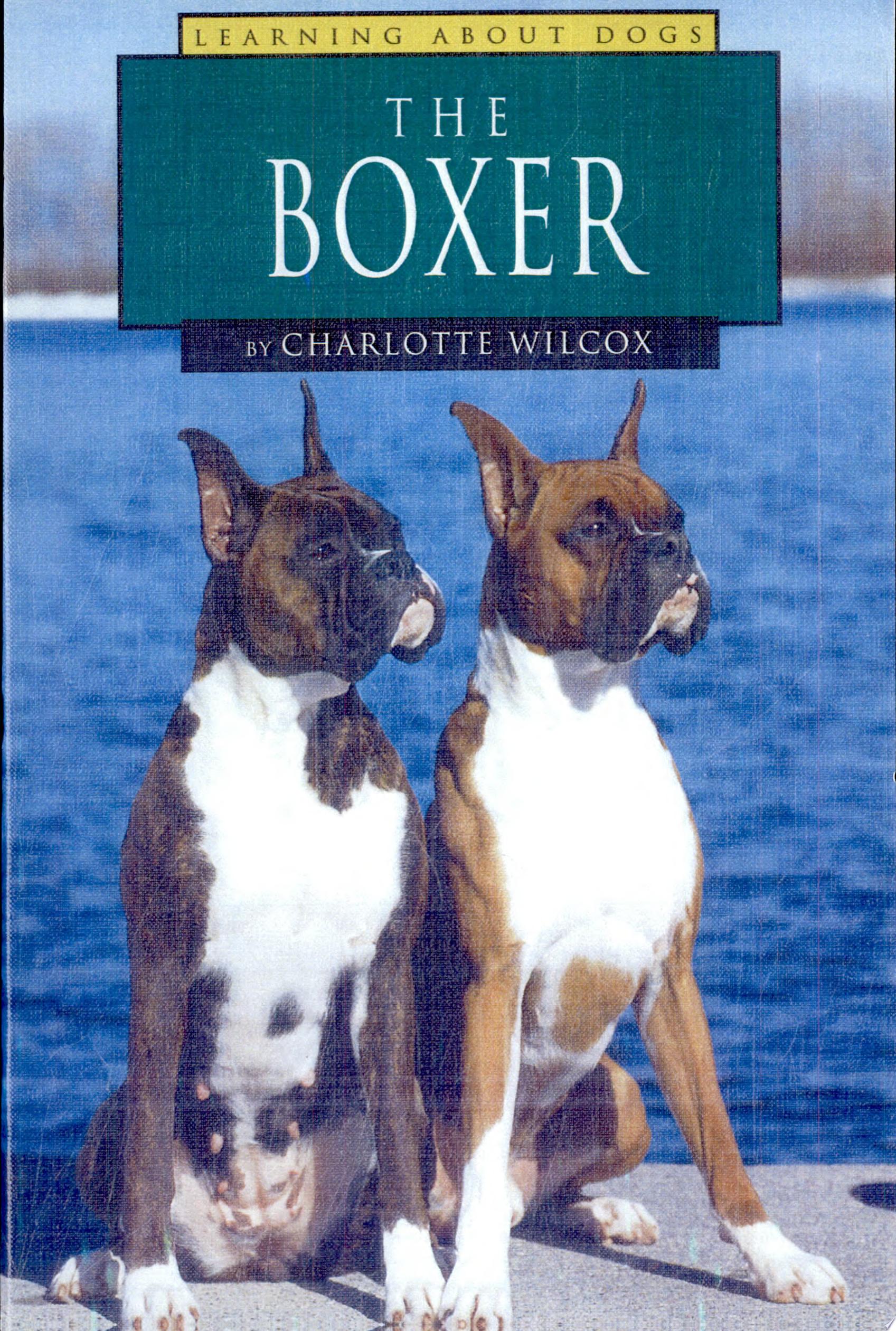 Image for "The Boxer"