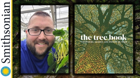 the tree book