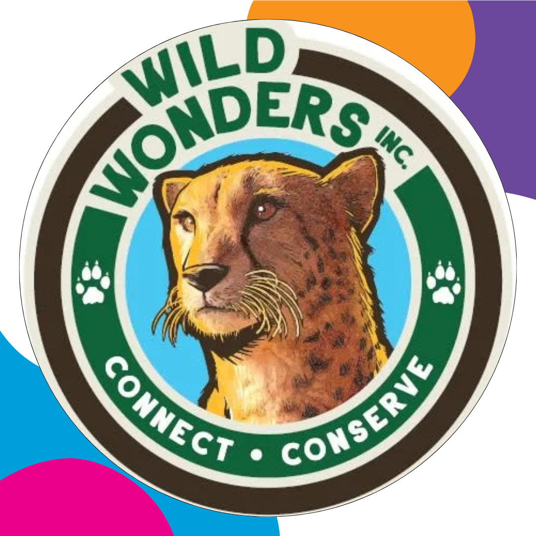 Logo for the company wild wonders, Image of a cheetah