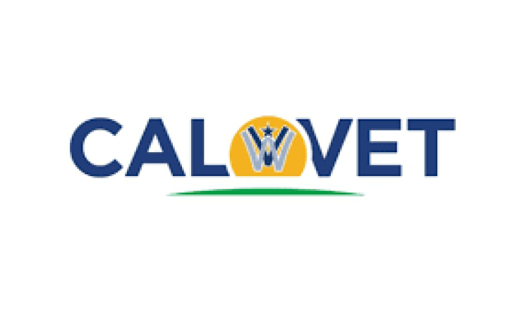 CalVet Women's Logo